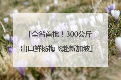 全省首批！300公斤出口鲜杨梅飞赴新加坡